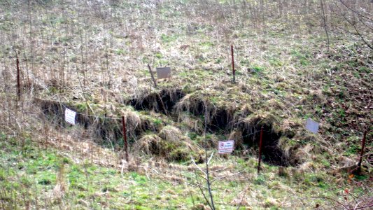 Tagbruch Pesterwitz