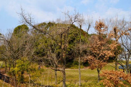 Tenno-no-mori Kofun, zenkei-2