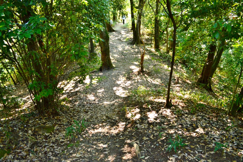 Tenno-no-mori Kofun, zenpoubu