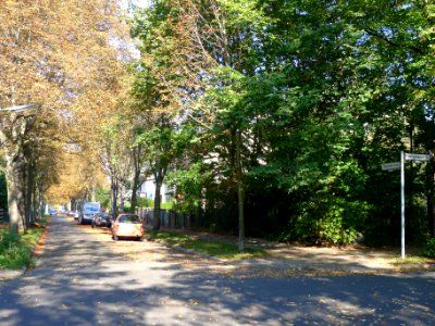 Tennstedter Straße (Berlin-Lankwitz)