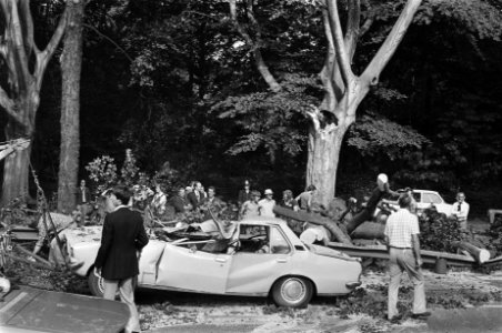 Tak valt op auto, Bestanddeelnr 928-7345