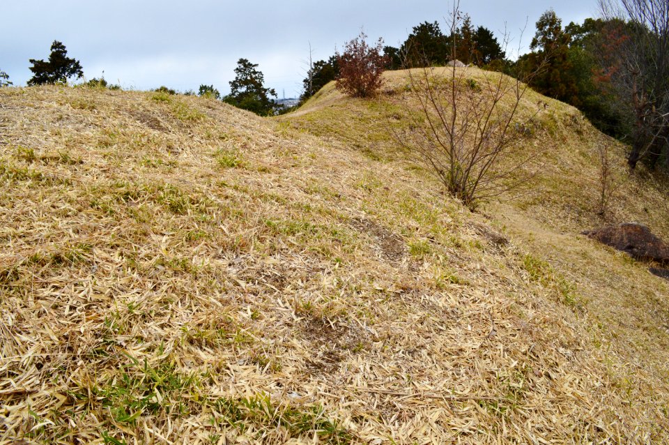 Ten-no-yama Kofun, funkyu