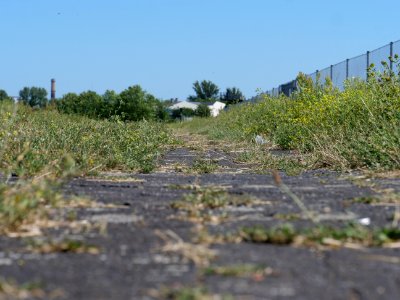 Tempelhofer Feld 2019-06-27 17