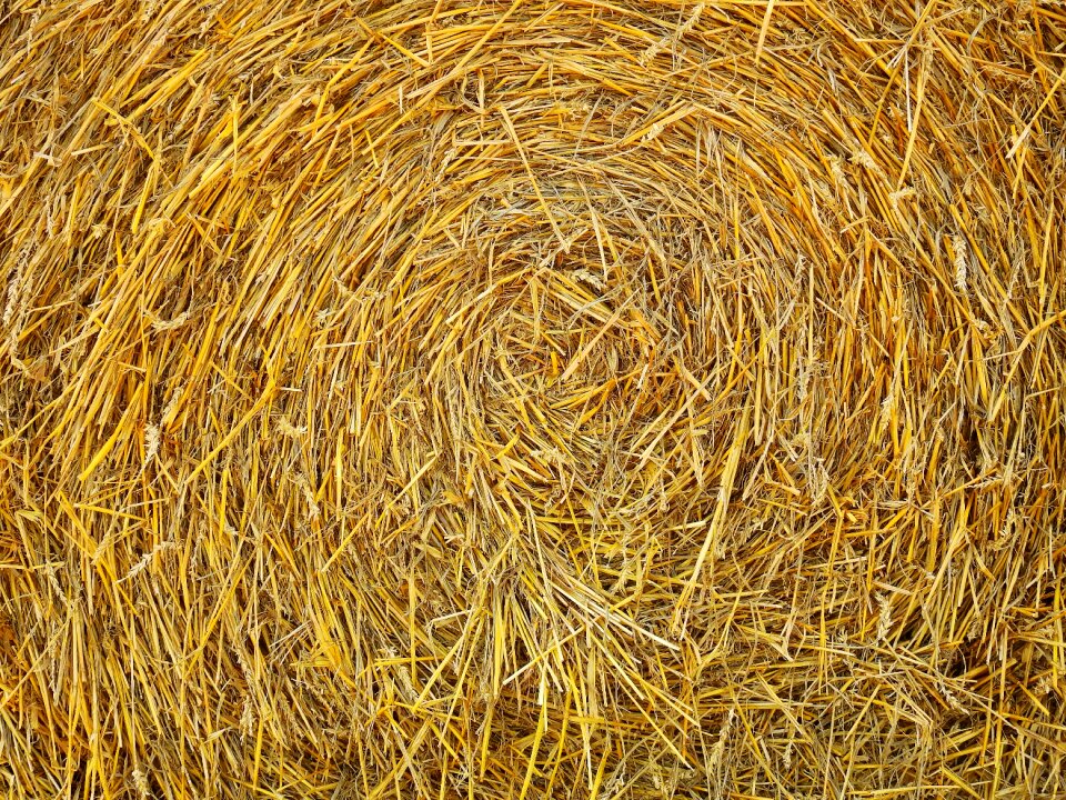 Straw bales round bales landscape