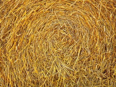 Straw bales round bales landscape