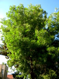 Takhti Park - Nishapur 07