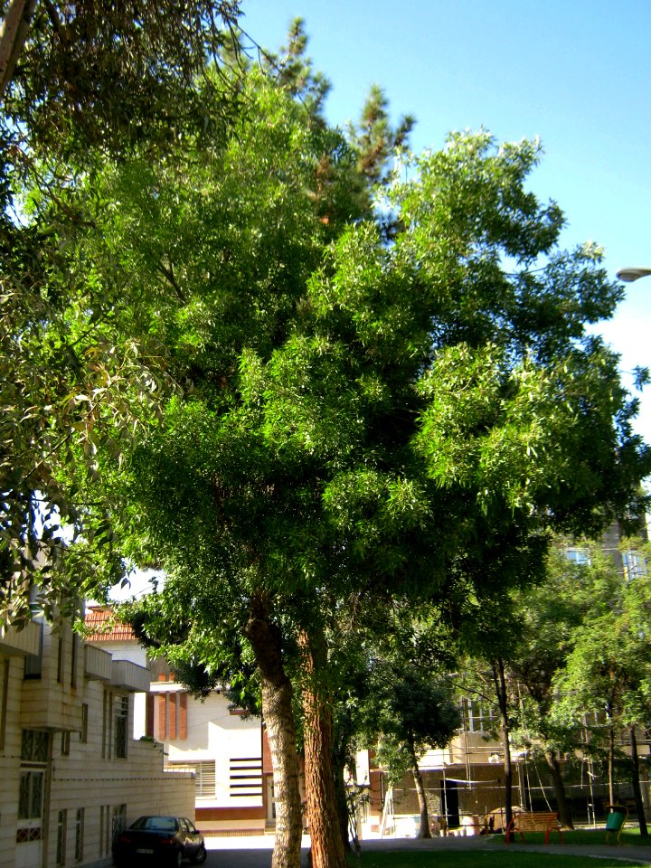 Takhti Park - Nishapur 10