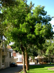 Takhti Park - Nishapur 09