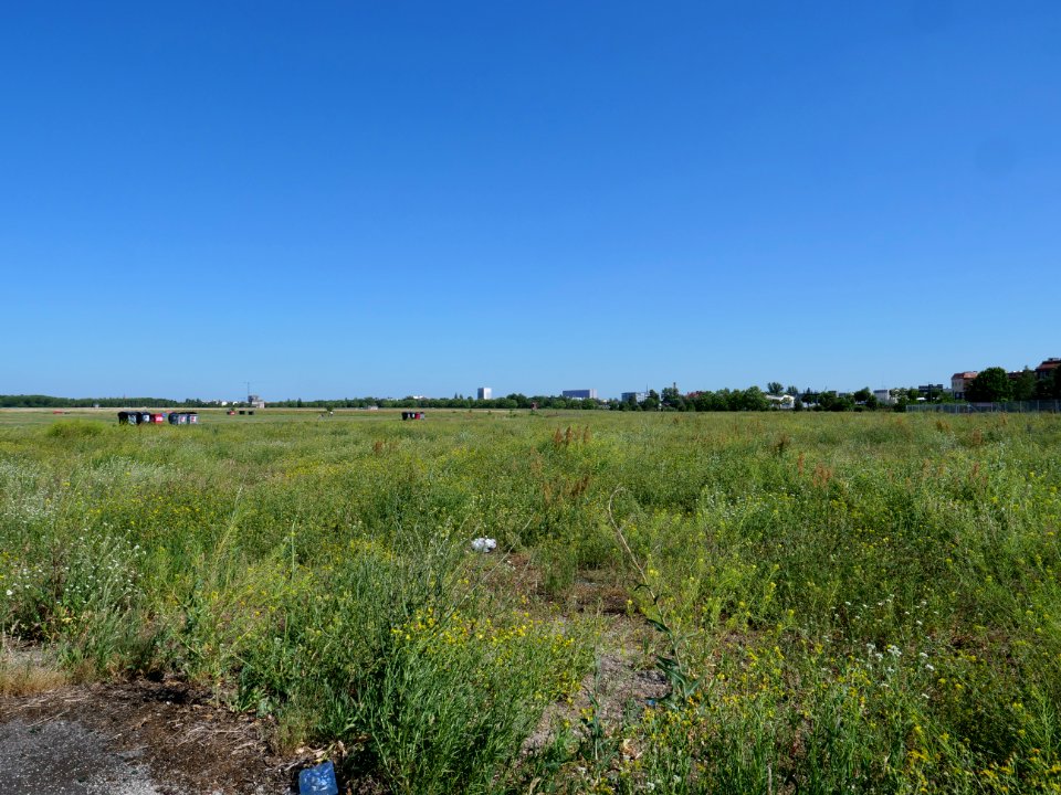 Tempelhofer Feld 2019-06-27 15
