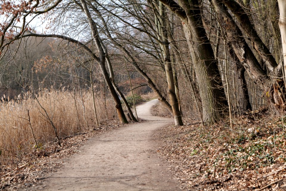 Teltowkanal promenade in Kleinmachnow 2021-02-24 02