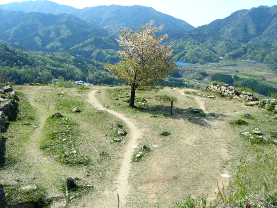Takeda Castle 2011 03