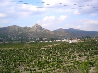 Taraktash 3