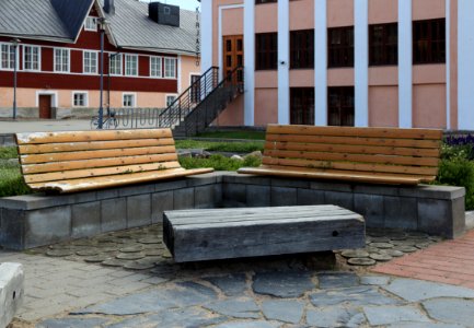Tapulipuisto Tyrnävä 20170627