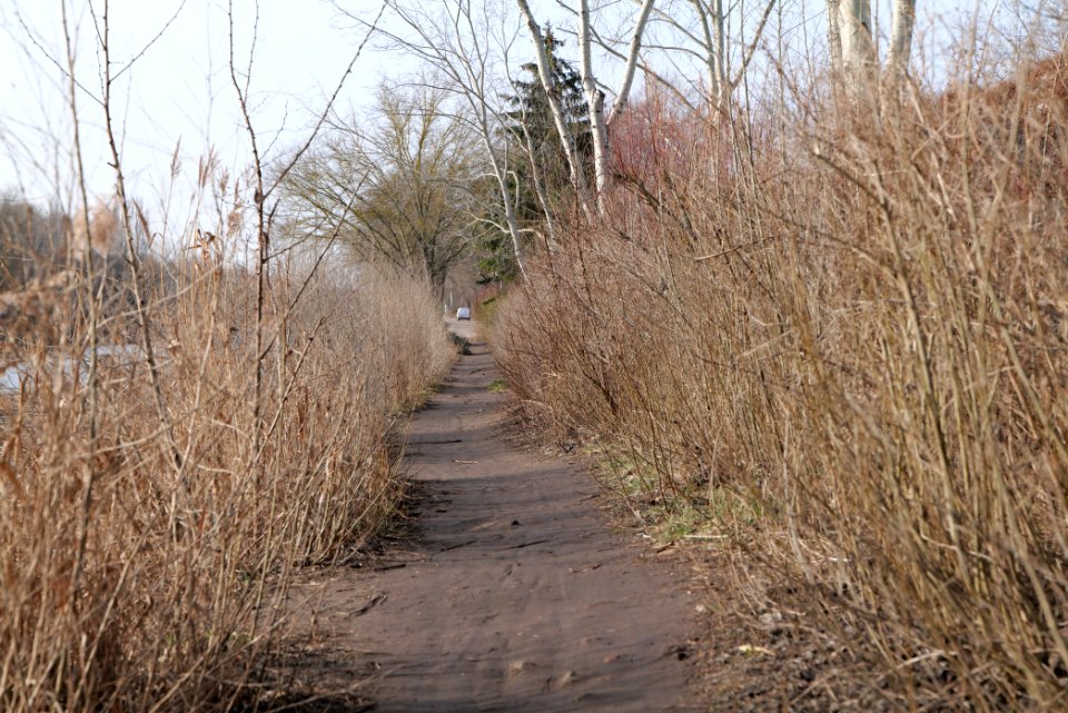 Teltowkanal promenade in Lichterfelde 2021-02-24 11