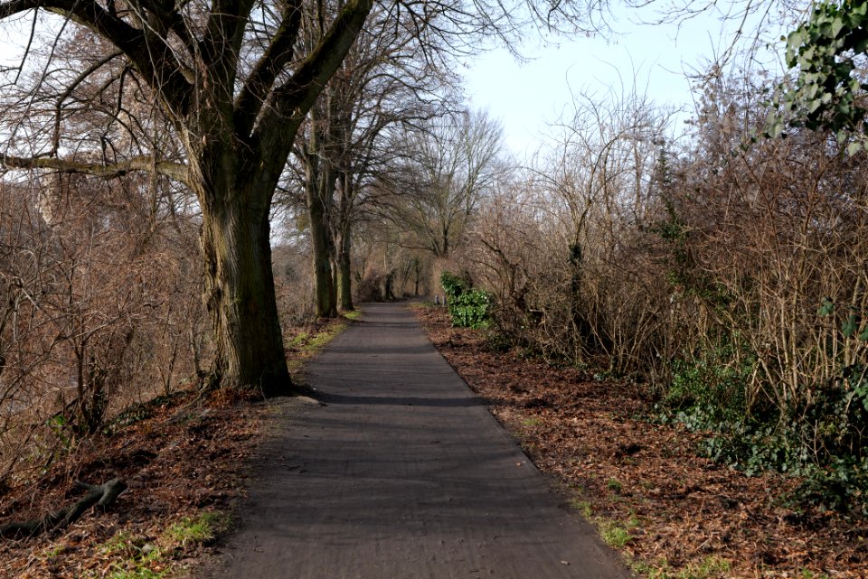 Teltowkanal promenade in Lichterfelde 2021-02-24 10