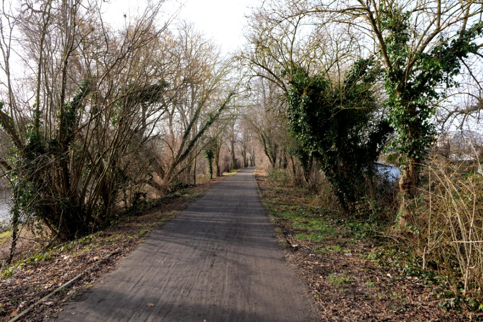 Teltowkanal promenade in Lichterfelde 2021-02-24 05