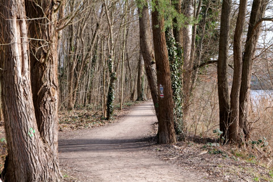 Teltowkanal promenade in Kleinmachnow 2021-02-24 06