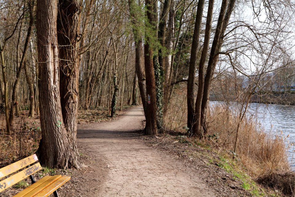 Teltowkanal promenade in Kleinmachnow 2021-02-24 05