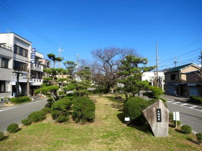 Taiyo-Ryokudo-1
