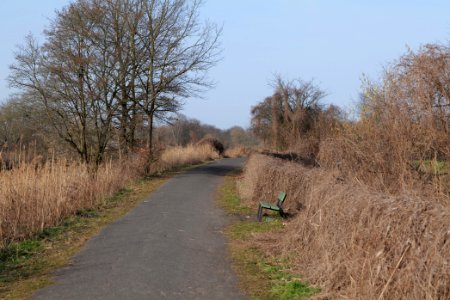 Teltowkanal promenade in Zehlendorf 2021-02-24 02