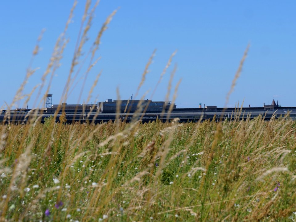 Tempelhofer Feld in june 2019 03