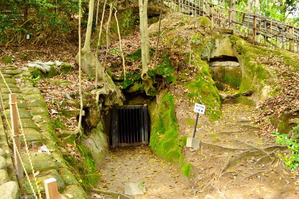 Takaida Yokoana Group-2-12