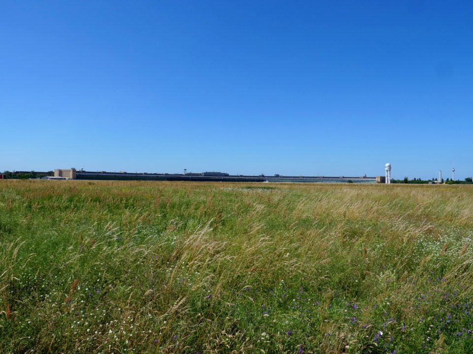 Tempelhofer Feld in june 2019 01