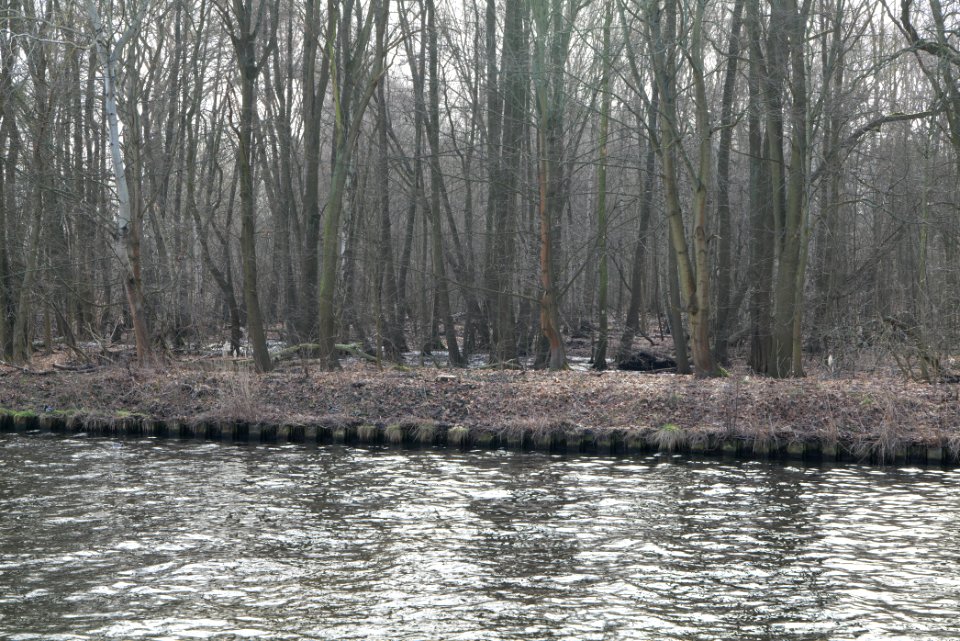 Teltowkanal in Kleinmachnow 2021-02-24 01