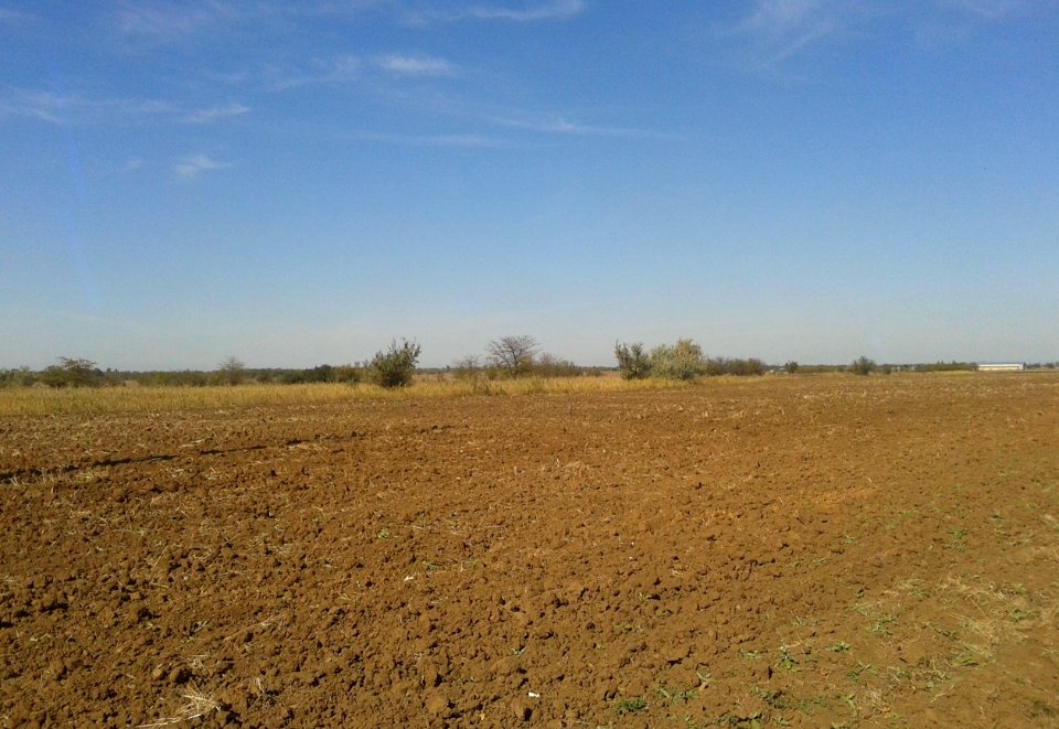 TarasovkaDz 3
