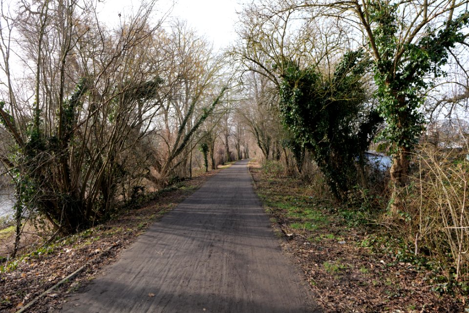 Teltowkanal promenade in Lichterfelde 2021-02-24 04