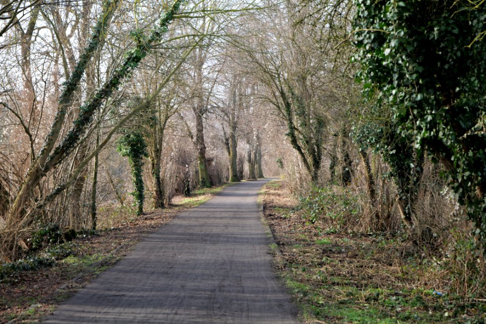 Teltowkanal promenade in Lichterfelde 2021-02-24 03