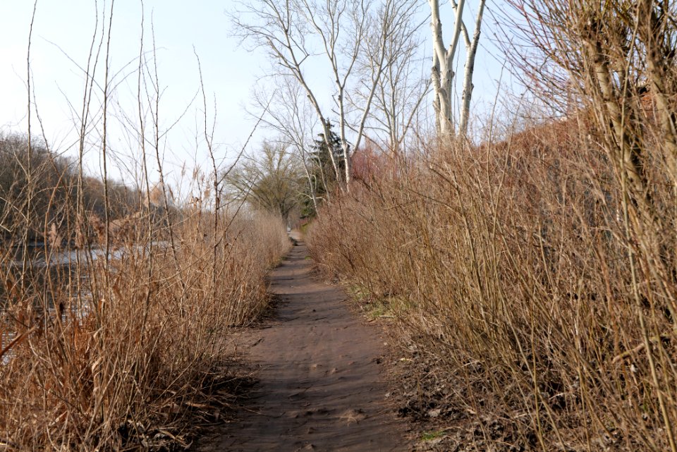 Teltowkanal promenade in Lichterfelde 2021-02-24 13