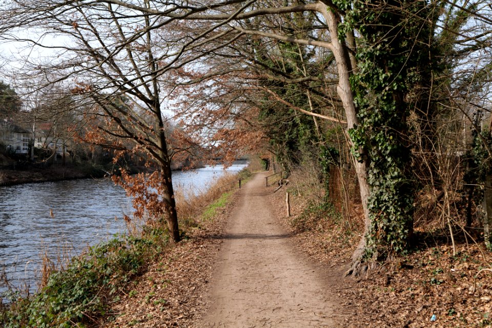 Teltowkanal promenade in Kleinmachnow 2021-02-24 04