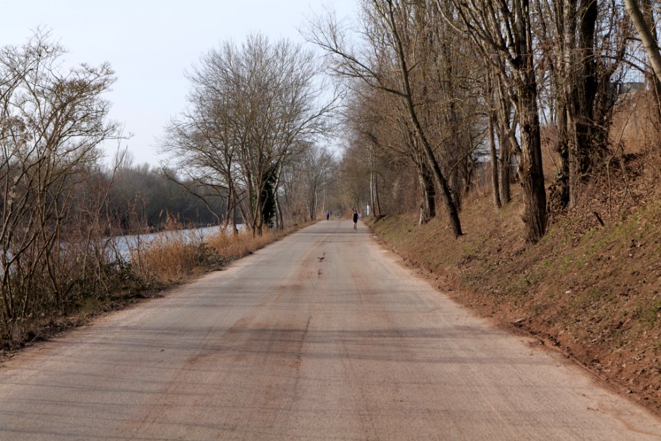 Teltowkanal promenade in Lichterfelde 2021-02-24 16