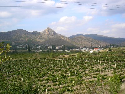 Taraktash 1