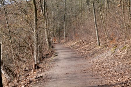 Teltowkanal promenade in Kleinmachnow 2021-02-24 10