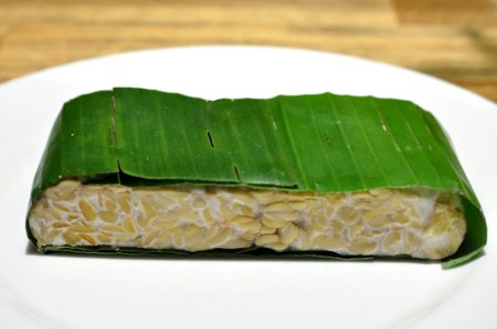 Tempeh 001