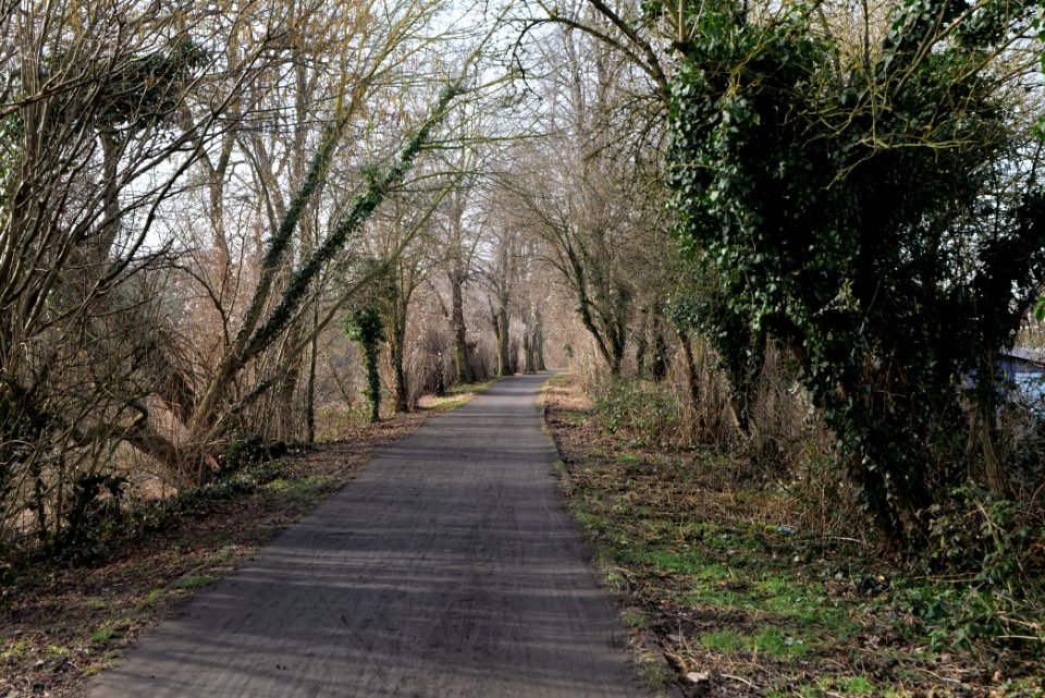 Teltowkanal promenade in Lichterfelde 2021-02-24 06