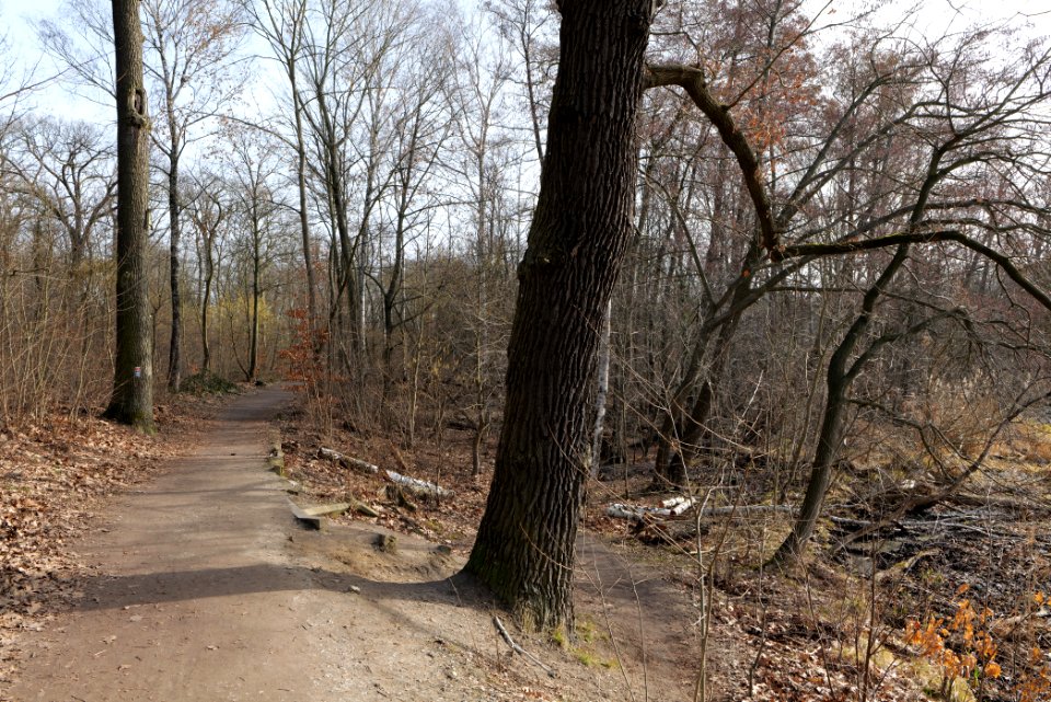 Teltowkanal promenade in Kleinmachnow 2021-02-24 09