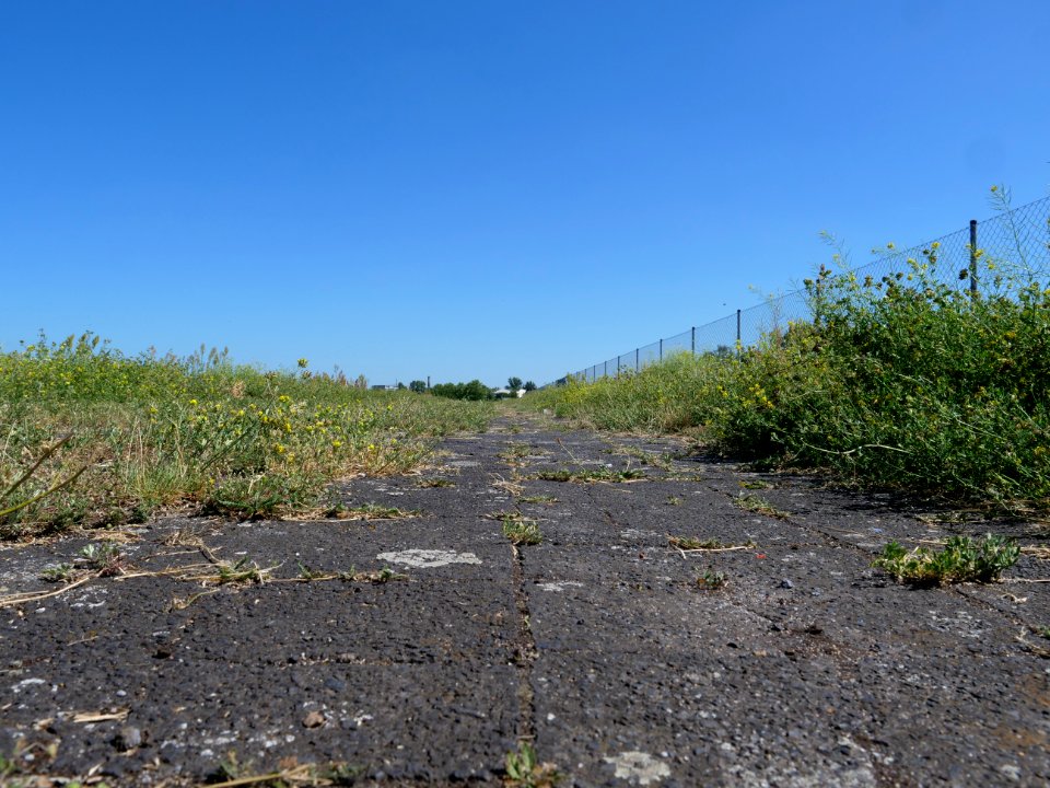 Tempelhofer Feld 2019-06-27 16