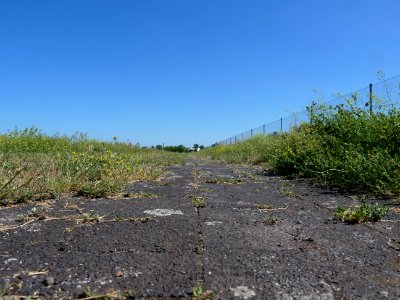 Tempelhofer Feld 2019-06-27 16