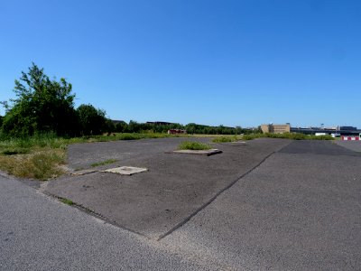 Tempelhofer Feld in june 2019 09
