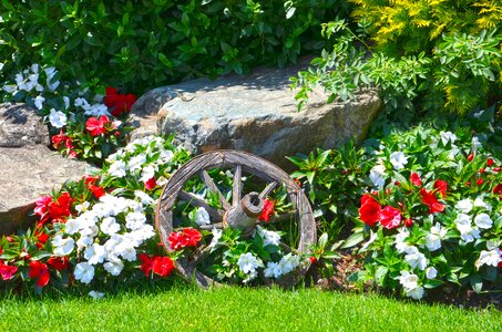 Composition spring wooden wheel