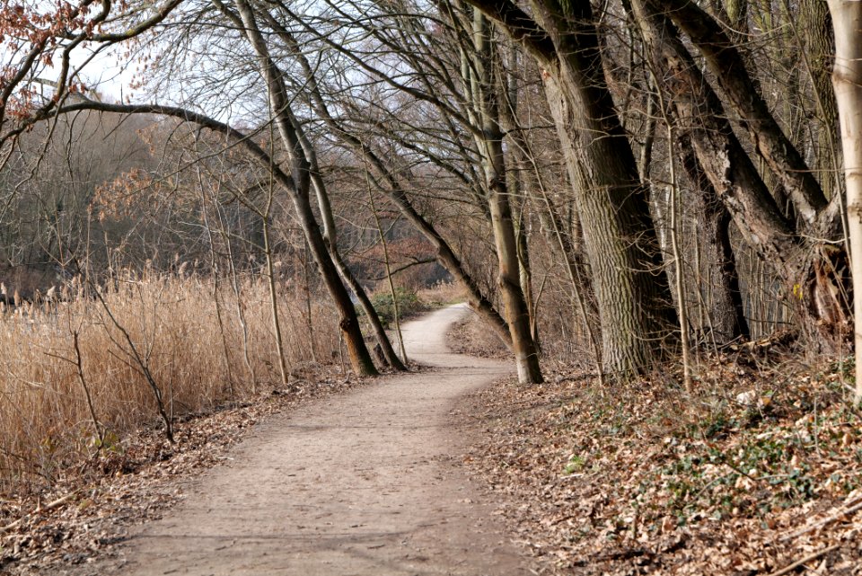 Teltowkanal promenade in Kleinmachnow 2021-02-24 01