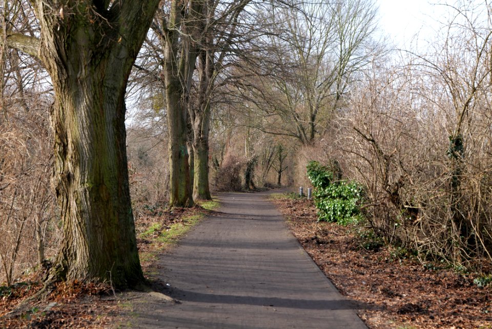 Teltowkanal promenade in Lichterfelde 2021-02-24 08