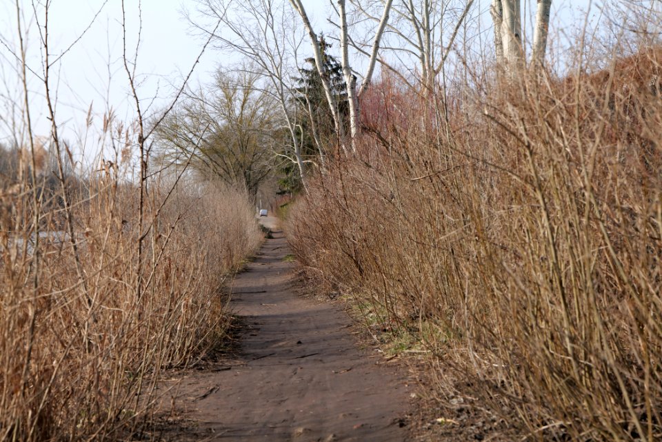 Teltowkanal promenade in Lichterfelde 2021-02-24 12