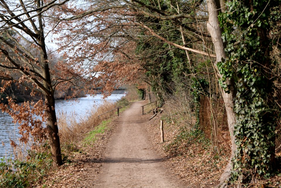 Teltowkanal promenade in Kleinmachnow 2021-02-24 03