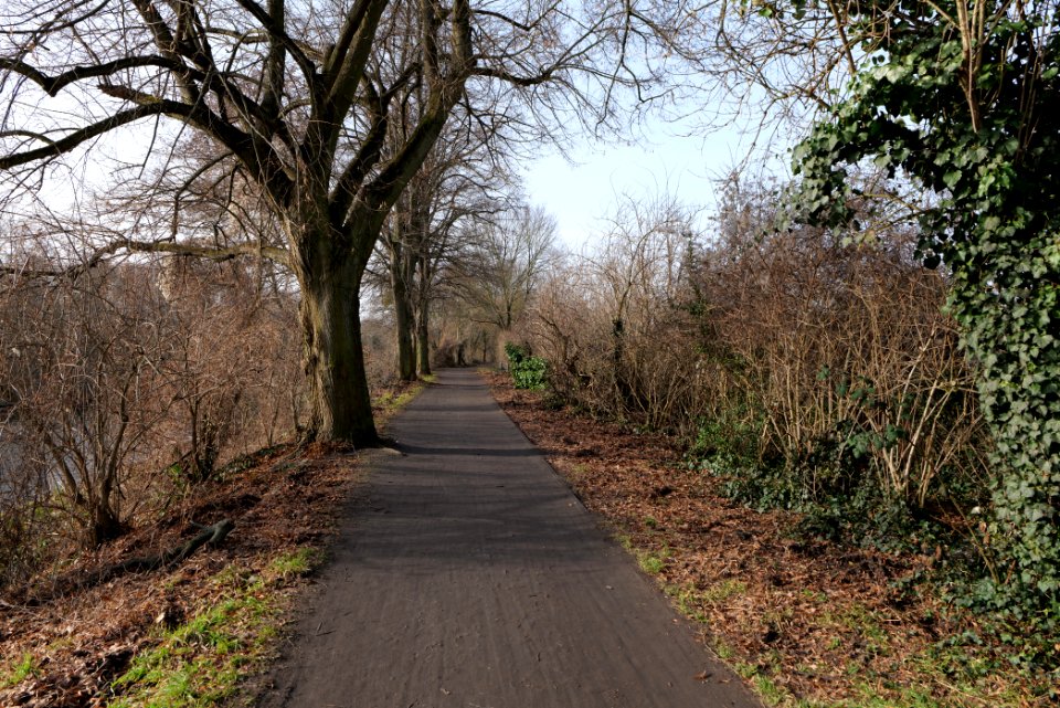 Teltowkanal promenade in Lichterfelde 2021-02-24 09