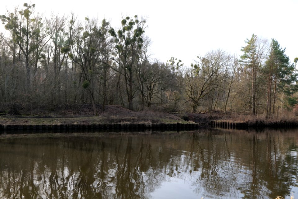 Teltowkanal in Kleinmachnow Stahnsdorf 2021-02-24 01