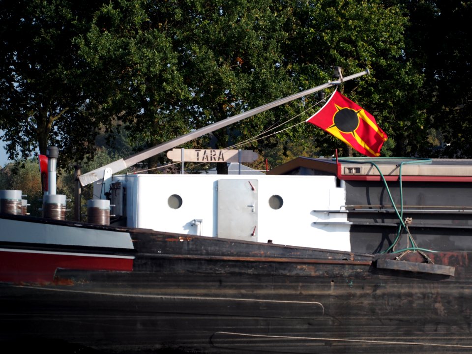 Tara ENI 02315007 at the Amsterdam-Rhine Canal, pic2